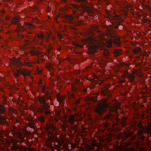 Джерси 014-12445 красный принтованный