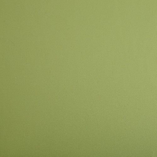Коттон стрейч 063-16822 салатовый однотонный